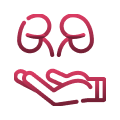Renal Transplantation